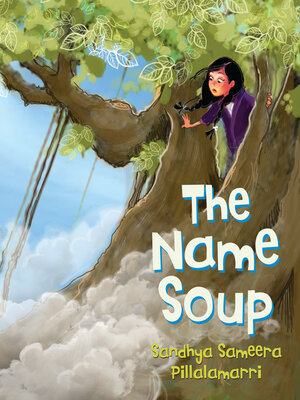 cover image of The Name Soup